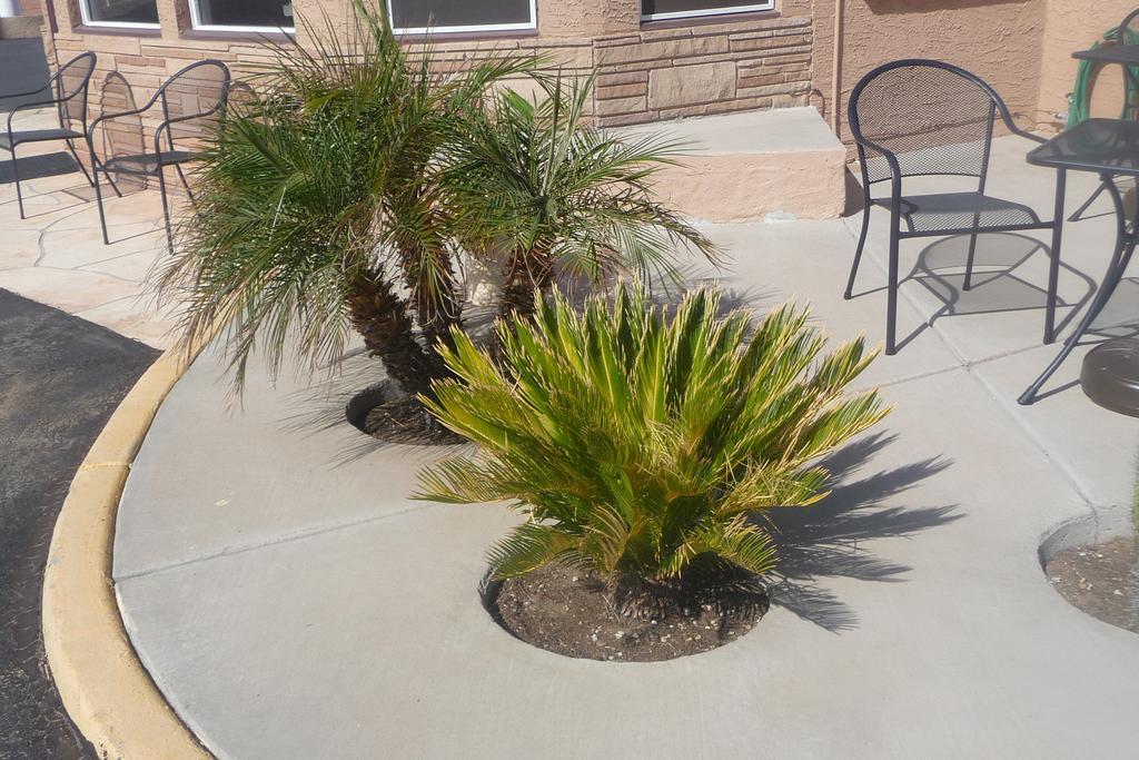 Palms Inn Gila Bend Εξωτερικό φωτογραφία